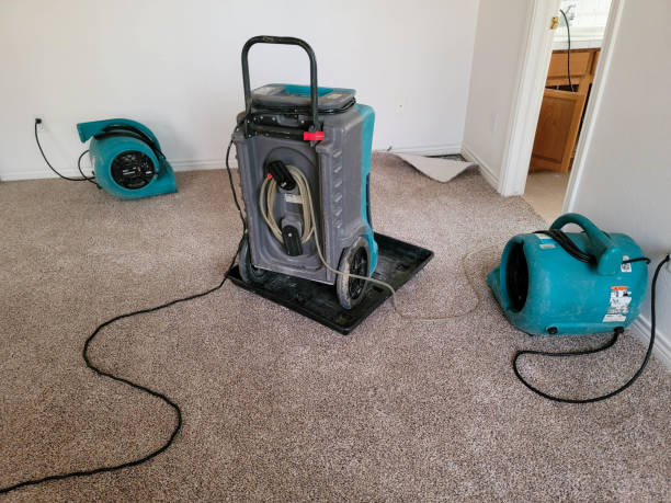 Best Carpet water damage restoration  in Fort Wayne, IN