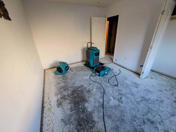 Best Emergency water damage restoration  in Fort Wayne, IN