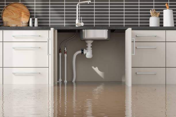 Best Water damage repair service  in Fort Wayne, IN