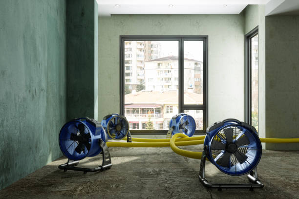 Best Mold removal after water damage  in Fort Wayne, IN